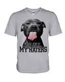 To All My Haters T-Shirt - Guys V-Neck - Basketweave Tote Bag