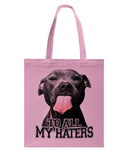 To All My Haters T-Shirt - Guys V-Neck - Basketweave Tote Bag