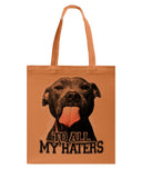 To All My Haters T-Shirt - Guys V-Neck - Basketweave Tote Bag