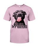To All My Haters T-Shirt - Guys Tee - Unisex Long Sleeve