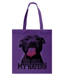 To All My Haters T-Shirt - Guys V-Neck - Basketweave Tote Bag