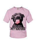 To All My Haters T-Shirt - Ladies Flowy Tank - Youth Tee