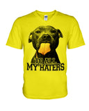 To All My Haters T-Shirt - Guys V-Neck - Basketweave Tote Bag