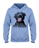 To All My Haters T-Shirt - Hoodie - Ladies Tee