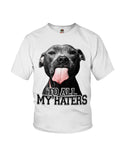 To All My Haters T-Shirt - Ladies Flowy Tank - Youth Tee