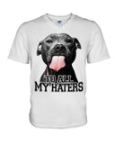 To All My Haters T-Shirt - Guys V-Neck - Basketweave Tote Bag