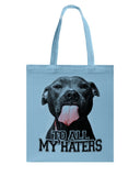 To All My Haters T-Shirt - Guys V-Neck - Basketweave Tote Bag