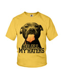 To All My Haters T-Shirt - Ladies Flowy Tank - Youth Tee