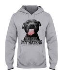 To All My Haters T-Shirt - Hoodie - Ladies Tee