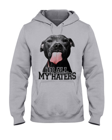 To All My Haters T-Shirt - Hoodie - Ladies Tee