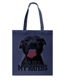 To All My Haters T-Shirt - Guys V-Neck - Basketweave Tote Bag