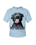 To All My Haters T-Shirt - Ladies Flowy Tank - Youth Tee