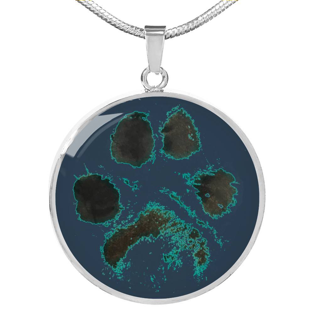 Aqua Green Aurora Paw