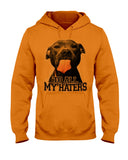 To All My Haters T-Shirt - Hoodie - Ladies Tee