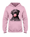 To All My Haters T-Shirt - Hoodie - Ladies Tee