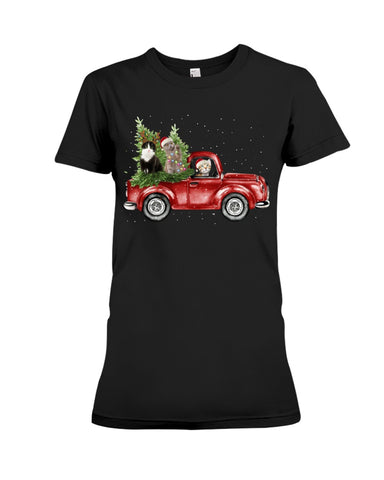 Christmas Cat And Red Car T-Shirt - Ladies Tee - Hoodie