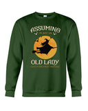 An Old Lady Witch Limited Classic T-Shirt - Guys Tee - Sweatshirt