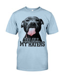 To All My Haters T-Shirt - Guys Tee - Unisex Long Sleeve