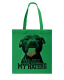 To All My Haters T-Shirt - Guys V-Neck - Basketweave Tote Bag