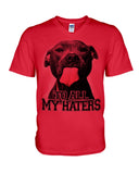 To All My Haters T-Shirt - Guys V-Neck - Basketweave Tote Bag